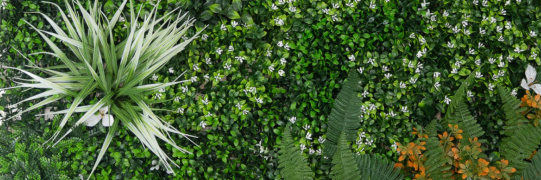 Artificial, preserved or dried plants